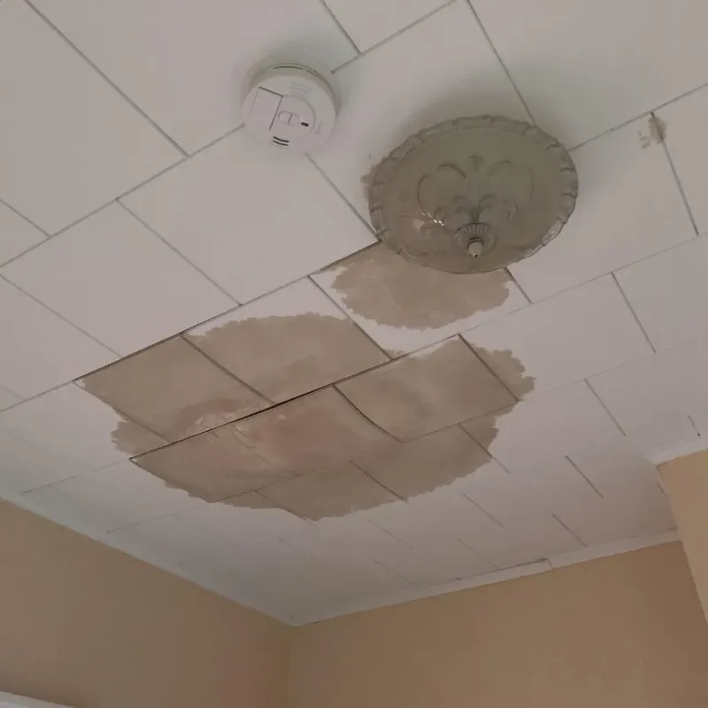 Ceiling Water Damage Repair in Sullivan, MO