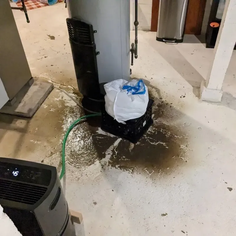 Sewage Backup Cleanup Service in Sullivan, MO